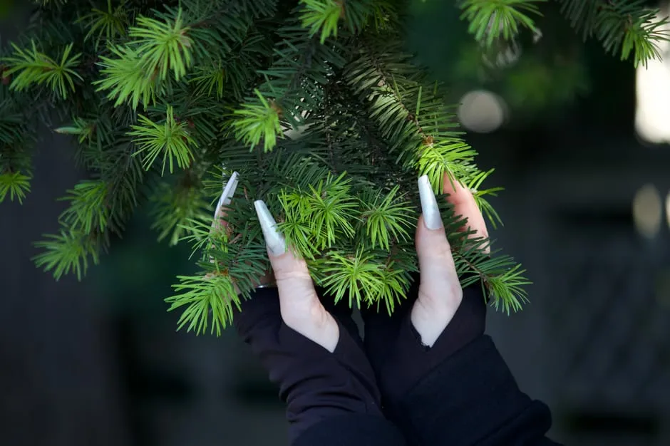 Lange naturlige negler som har vokst fram raskere med riktig neglepleie